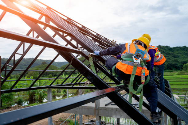 Best Residential Roof Replacement  in Dresden, TN