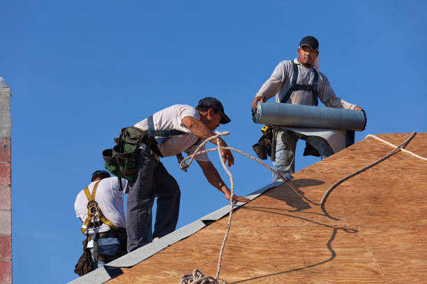 Residential Roof Replacement in Dresden, TN