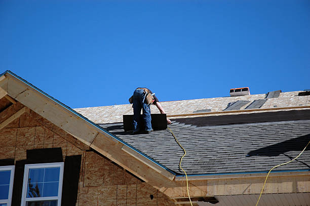 Best Roof Gutter Cleaning  in Dresden, TN