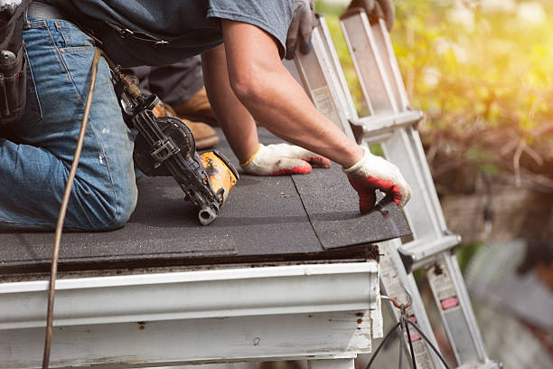Best Local Roofing Companies  in Dresden, TN